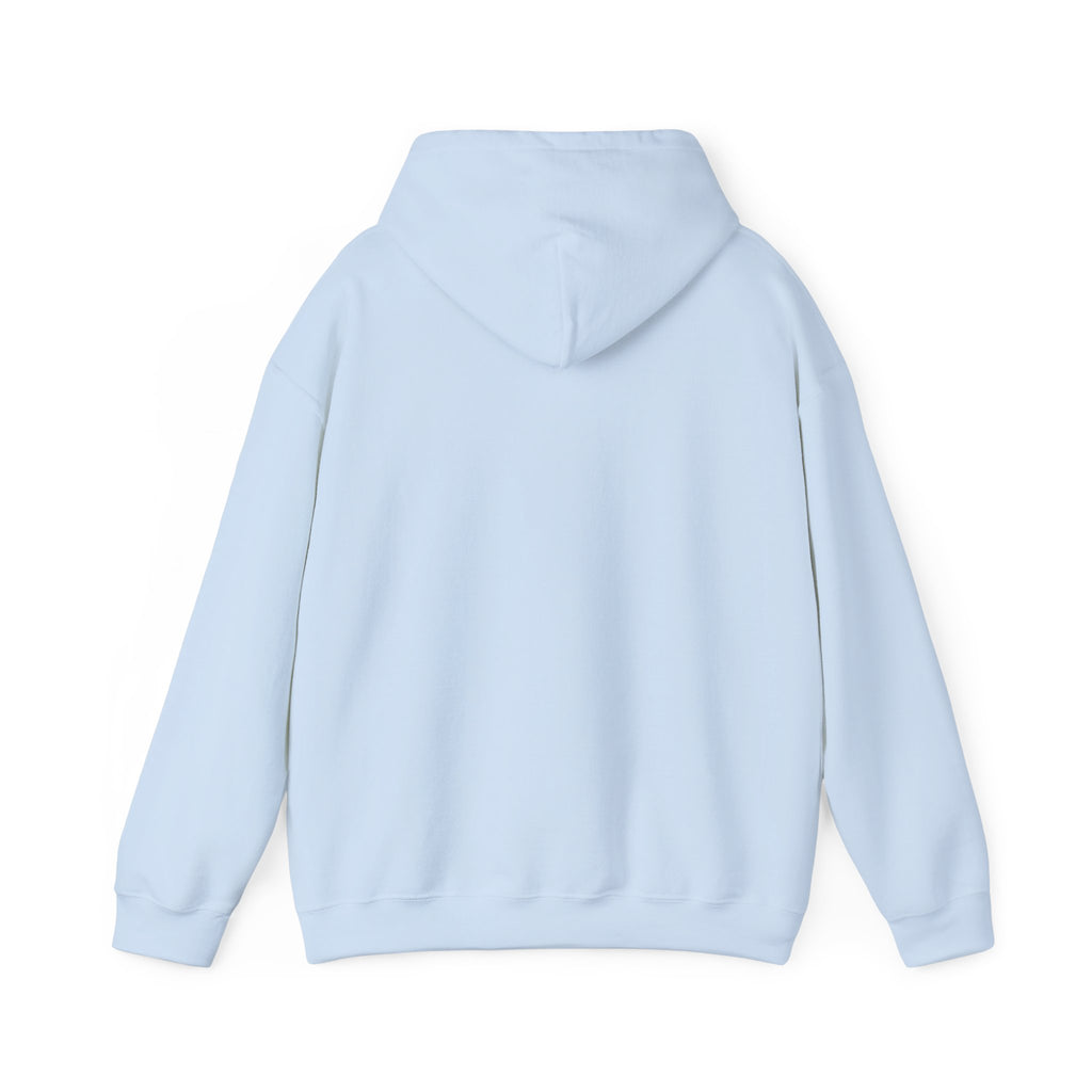 Peace Panda Hoodie — Cute Meditation Panda Graphic Pullover | Kung Fu Panda