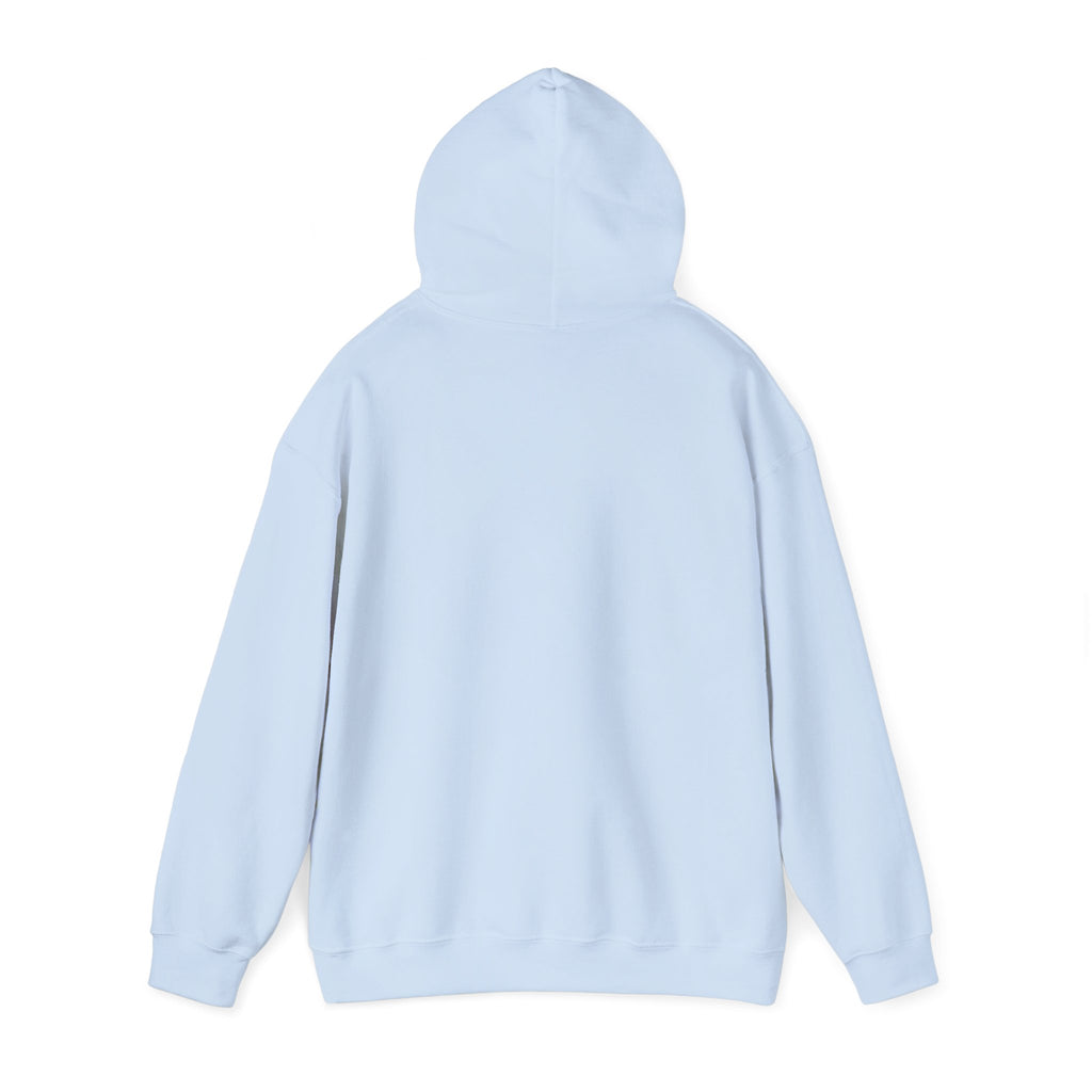 Peace Panda Hoodie — Cute Meditation Panda Graphic Pullover | Kung Fu Panda