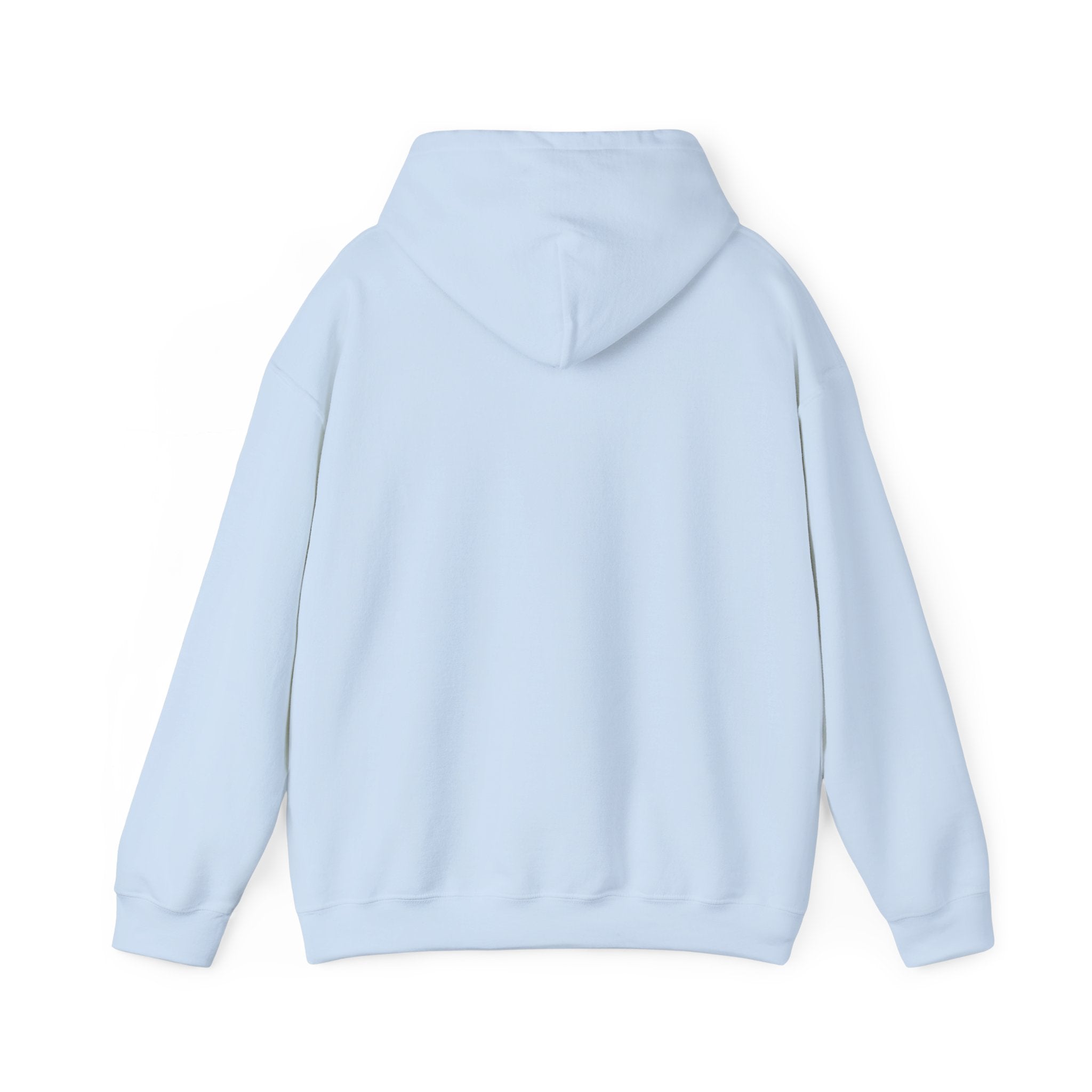 Formula 1 Ferrari Logo Hoodie - Formula 1 inspired