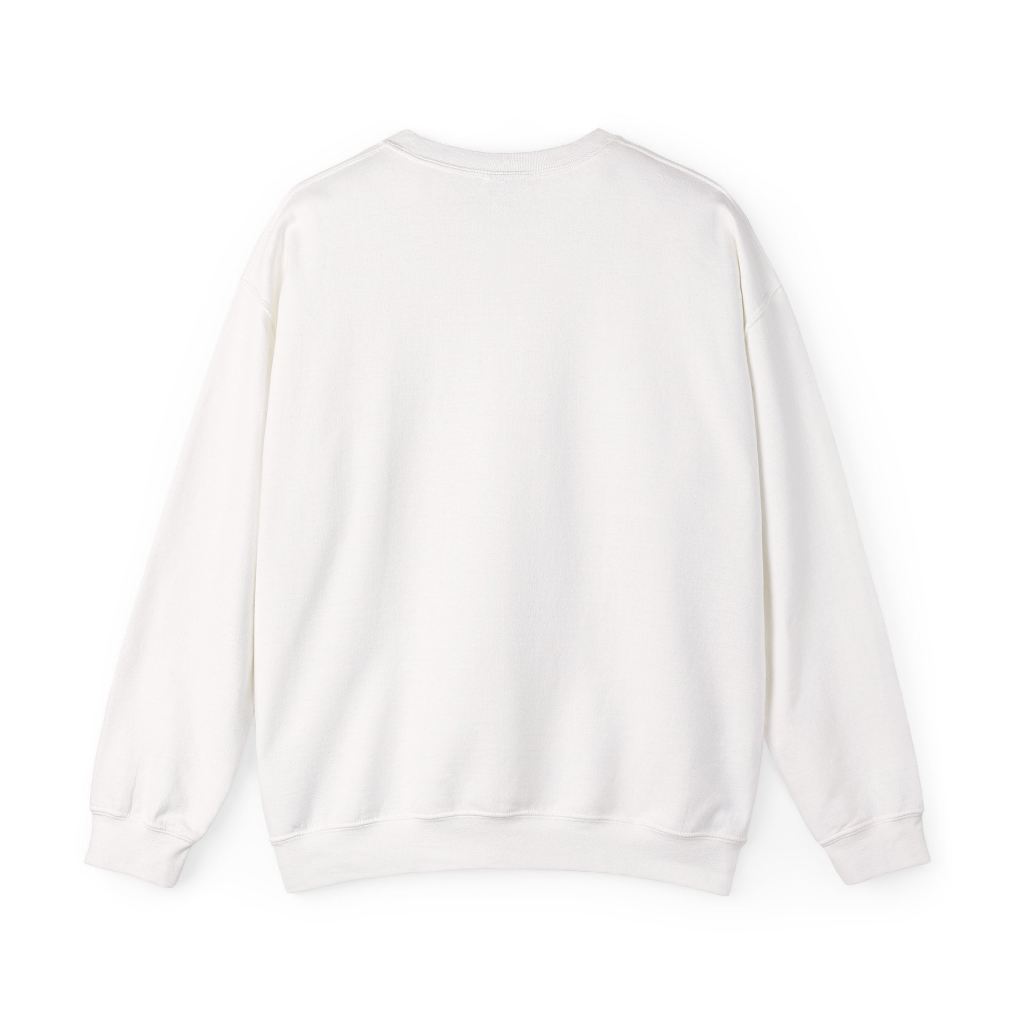 Racing Crewneck Sweatshirt – F1 Formula One Car Graphic